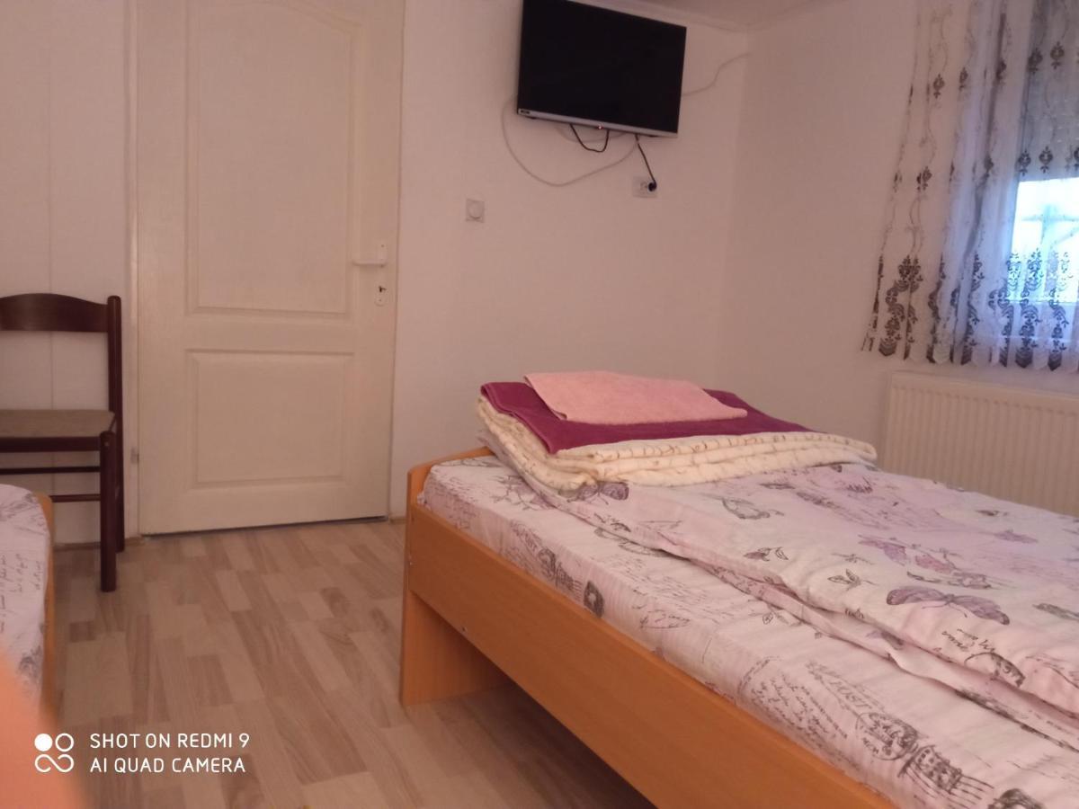 Guest House Vila Banjica Pirot Exteriér fotografie