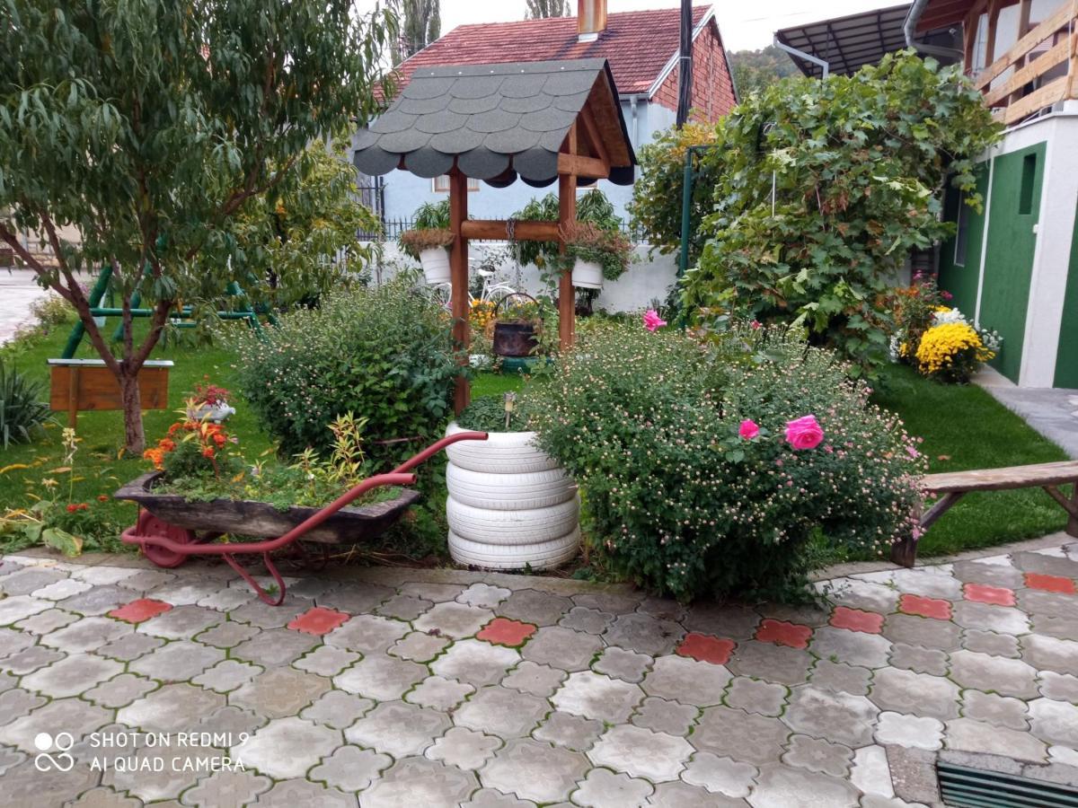 Guest House Vila Banjica Pirot Exteriér fotografie