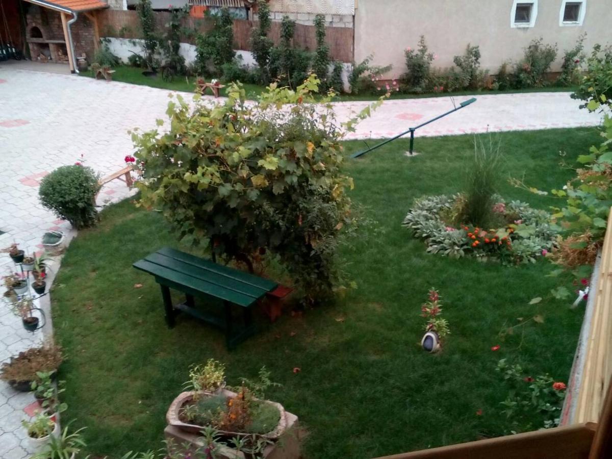Guest House Vila Banjica Pirot Exteriér fotografie