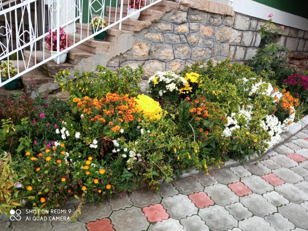 Guest House Vila Banjica Pirot Exteriér fotografie