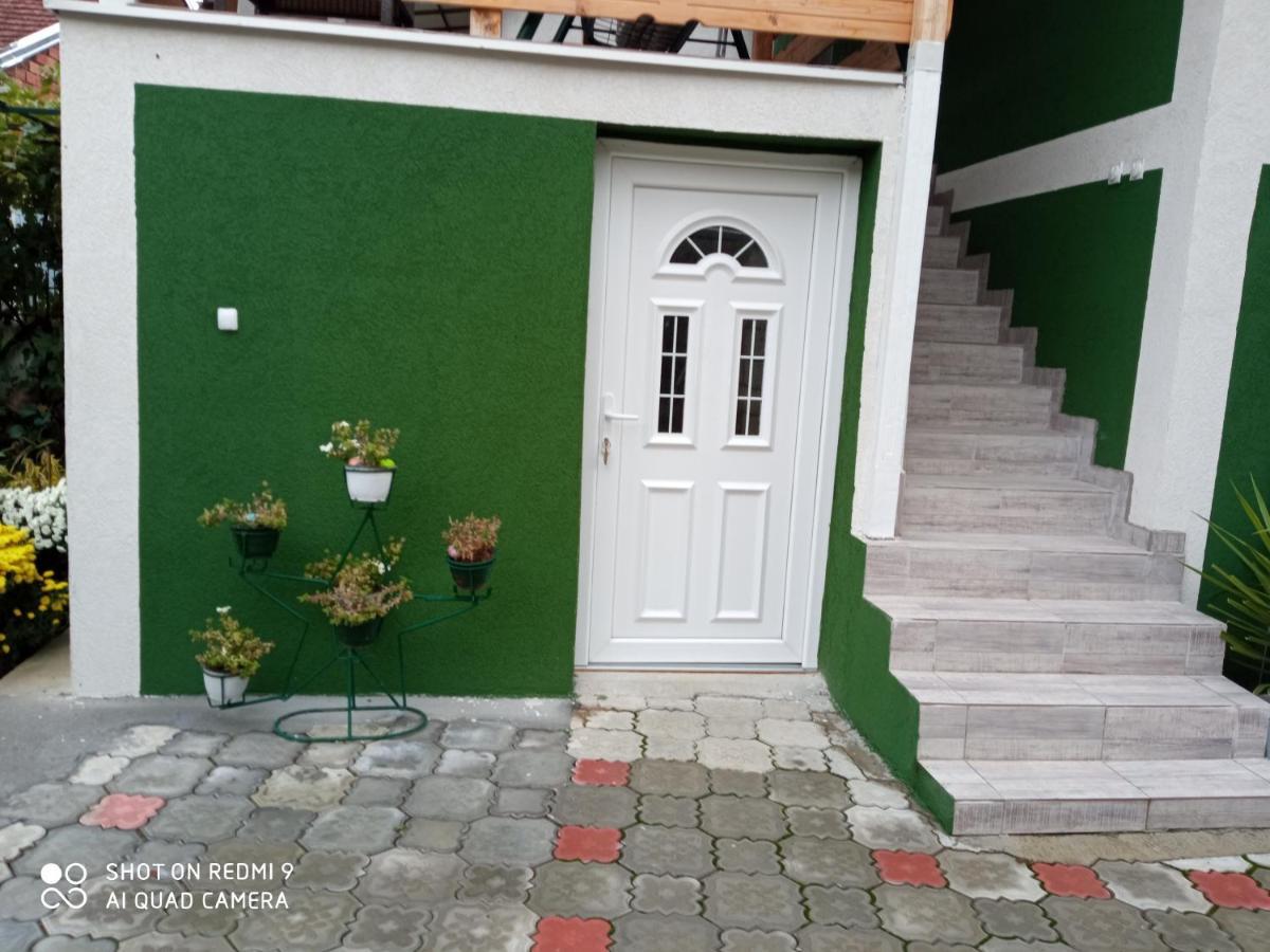 Guest House Vila Banjica Pirot Exteriér fotografie