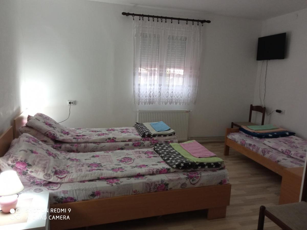 Guest House Vila Banjica Pirot Exteriér fotografie