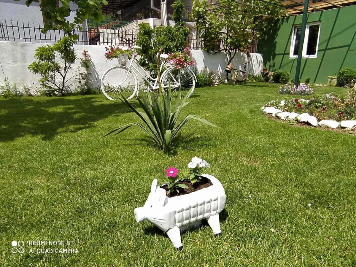Guest House Vila Banjica Pirot Exteriér fotografie