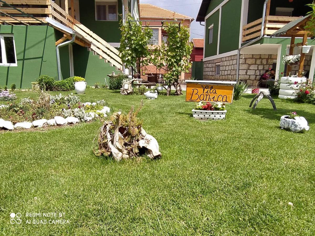 Guest House Vila Banjica Pirot Exteriér fotografie