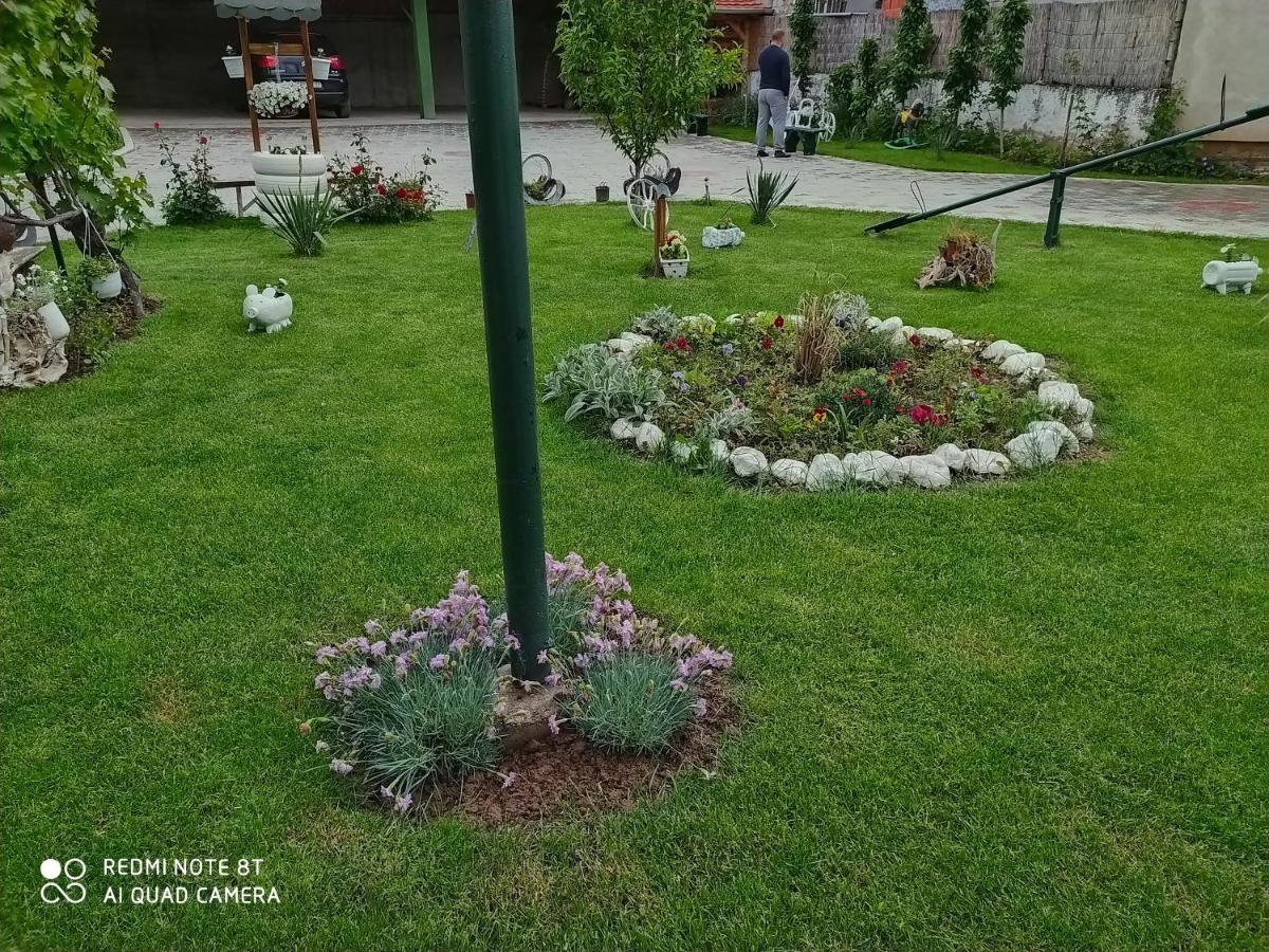 Guest House Vila Banjica Pirot Exteriér fotografie