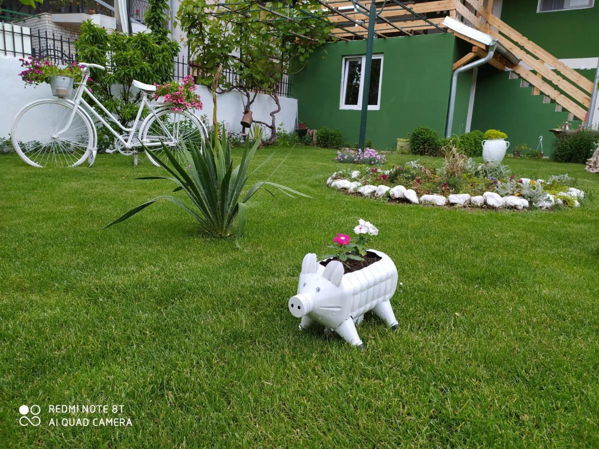 Guest House Vila Banjica Pirot Exteriér fotografie