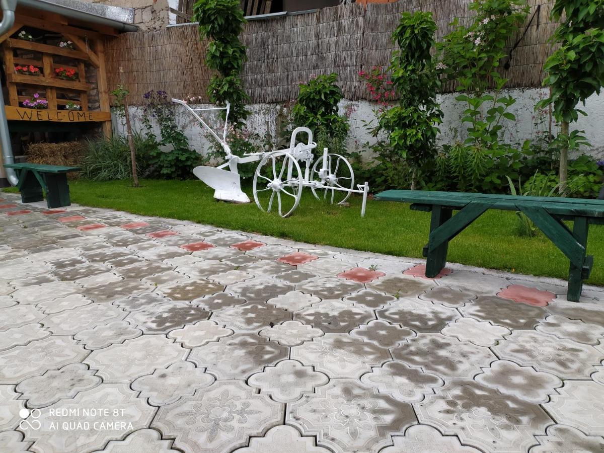 Guest House Vila Banjica Pirot Exteriér fotografie