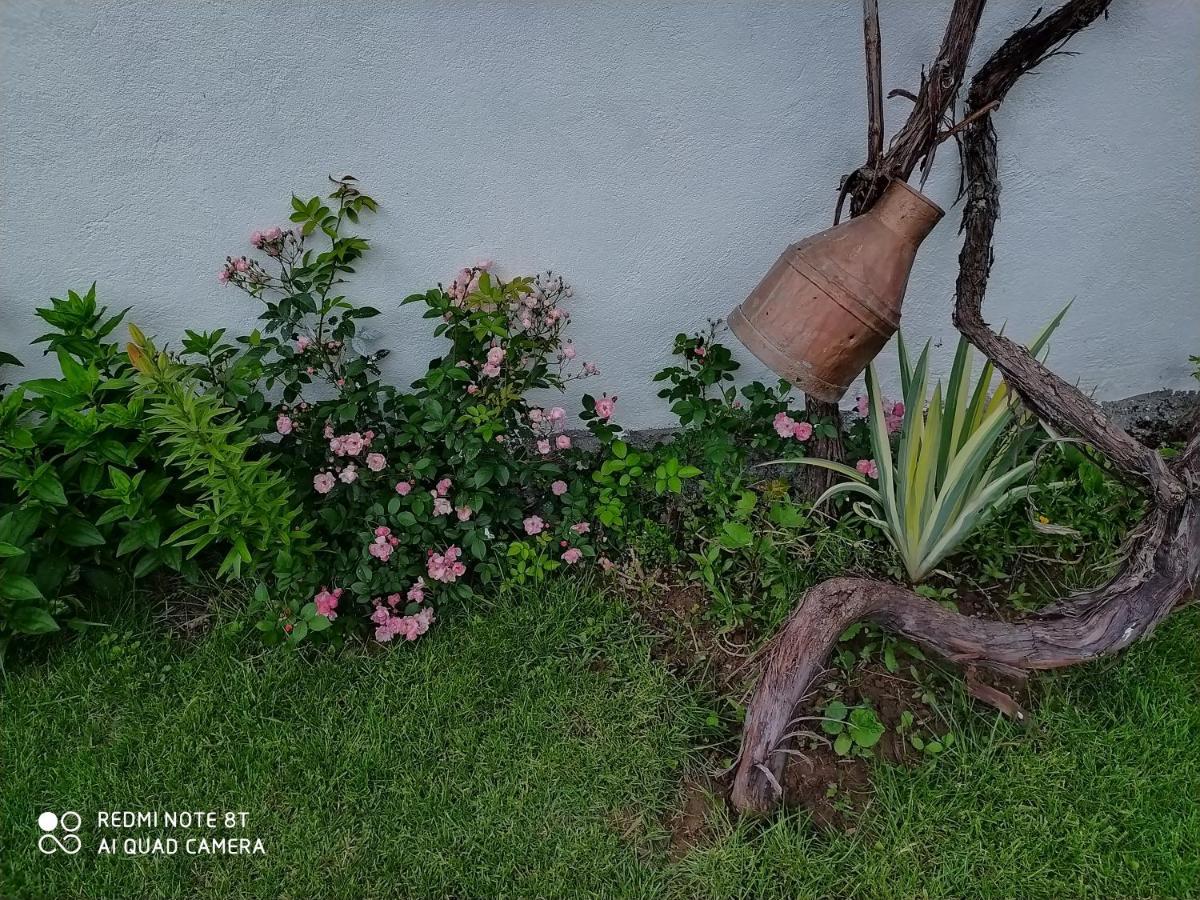 Guest House Vila Banjica Pirot Exteriér fotografie